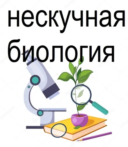 Скачать курс «Нескучная биология 5-6 класс (Татьяна Марышева)» — слив курса