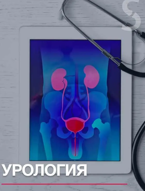 Скачать курс «[Synapse] Учебник по урологии. Урология» — слив курса