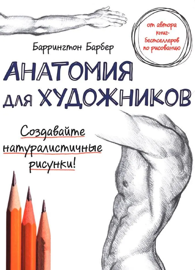 Скачать курс «Анатомия для художников (Баррингтон Барбер)» — слив курса