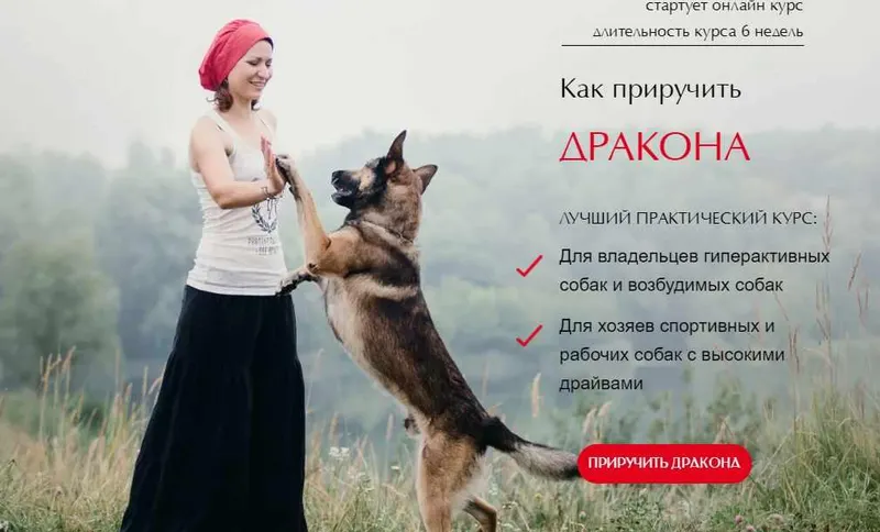 Скачать курс «[Школа бесконфликтной дрессировки] Как приручить Дракона. Тариф Все сам (Ульяна Мальцева)» — слив курса