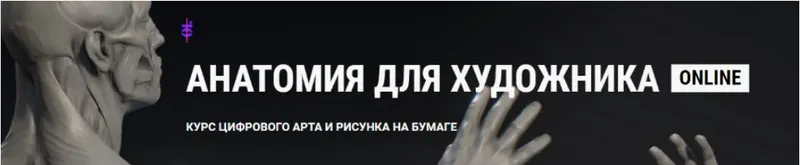 Скачать курс «Анатомия для художника [ArtCraft]» — слив курса