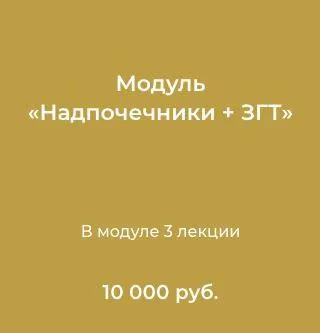 Скачать курс «Модуль Надпочечники + заместительная гормональная терапия (Лилия Воронкова)» — слив курса