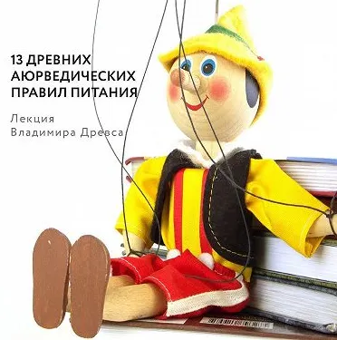 Скачать курс «13 древних аюрведических правил питания. Аудиокнига  (Владимир Древс)» — слив курса