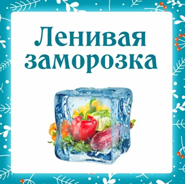 Скачать курс «[Ленивый кулинар] Ленивая заморозка (Ольга Данчук, Елена Воронцова)» — слив курса