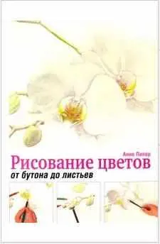 Скачать курс «Рисование цветов от бутона до листьев (Анне Пипер)» — слив курса
