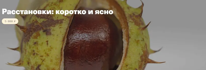 Скачать курс «[Timepad] Расстановки: коротко и ясно (Елена Веселаго)» — слив курса