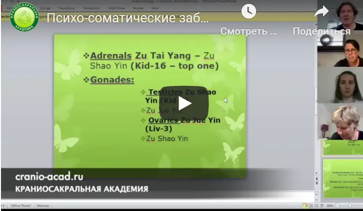 Скачать курс «[Краниосакральная академия] Психосоматические заболевания и иглоукалывание (Питер Ван Кервель)» — слив курса