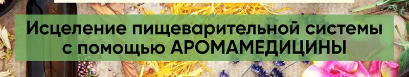 Скачать курс «[Центр Шерома] Исцеление пищеварительной системы с помощью аромамедицины (Ульвия Голденбрук)» — слив курса