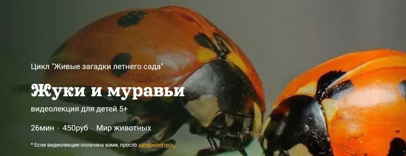 Скачать курс «[Детский лекторий] Жуки и муравьи (Александр Толмачев)» — слив курса