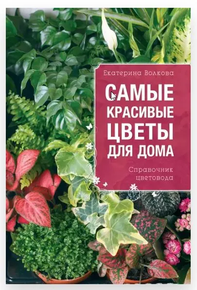 Скачать курс «Самые красивые цветы для дома. Справочник цветовода (Екатерина Волкова)» — слив курса