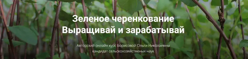Скачать курс «[Питомник растений Глория] Зеленое черенкование; Выращивай и Зарабатывай (Ольга Борисова)» — слив курса