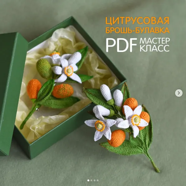 Скачать курс «Цитрусовая брошь-булавка (Светлана Пелюшенко)» — слив курса