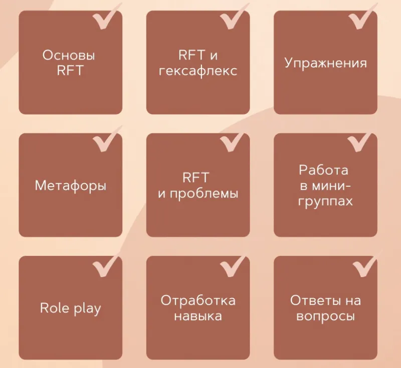 Скачать курс «Теория Реляционных Фреймов (RFT) в клинической практике (Илья Розов, Илья Скворцов)» — слив курса