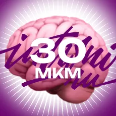 Скачать курс «[Stepik] 30 методов креативного мышления (Владимир Потапов)» — слив курса