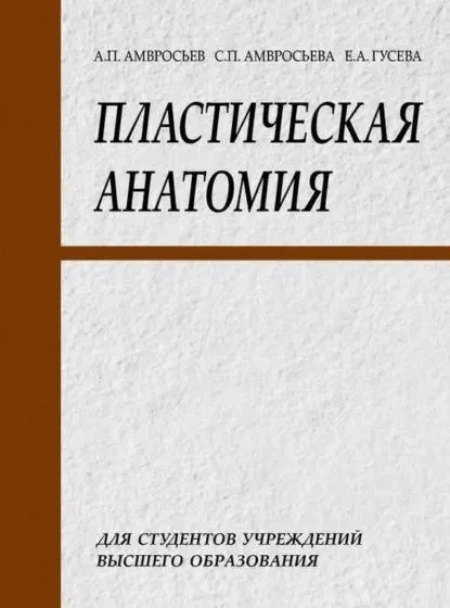 Скачать курс «Пластическая анатомия (Елизавета Гусева, Софья Амвросьева)» — слив курса