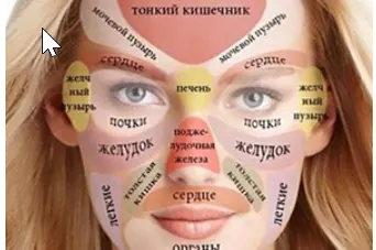 Скачать курс «Диагностика по внешним признакам. Вебинар №1 (Елена Макарова)» — слив курса