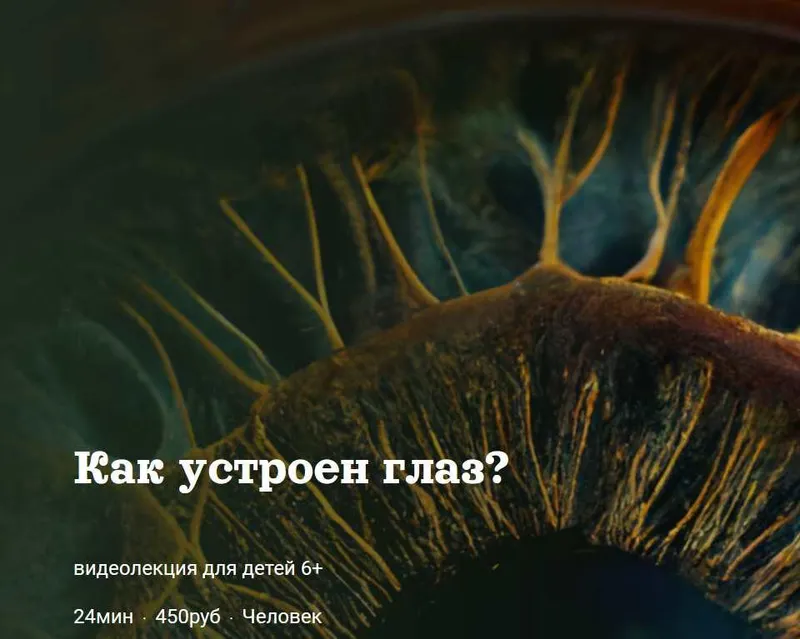 Скачать курс «[Детский лекторий] Как устроен глаз? (Александр Толмачев)» — слив курса