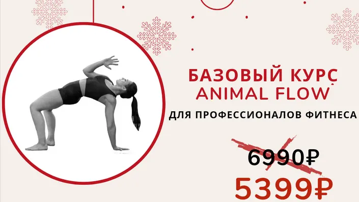 Скачать курс «Базовый курс ‌Animal Flow. Без обратной связи (Анастасия Канивец)» — слив курса