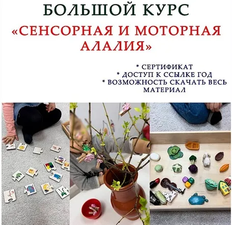 Скачать курс «[k_logopedy] Сенсорная и моторная алалия (Ангелина Сыщенко)» — слив курса