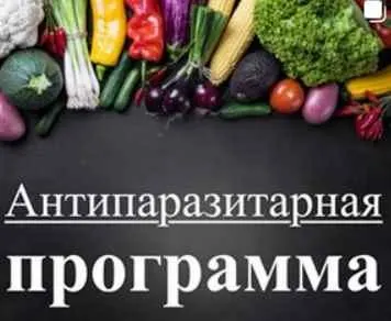 Скачать курс «Антипаразитарная программа (Виктория Суслова)» — слив курса