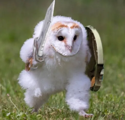 Скачать курс «[Owlsova] Авитолог 2025» — слив курса