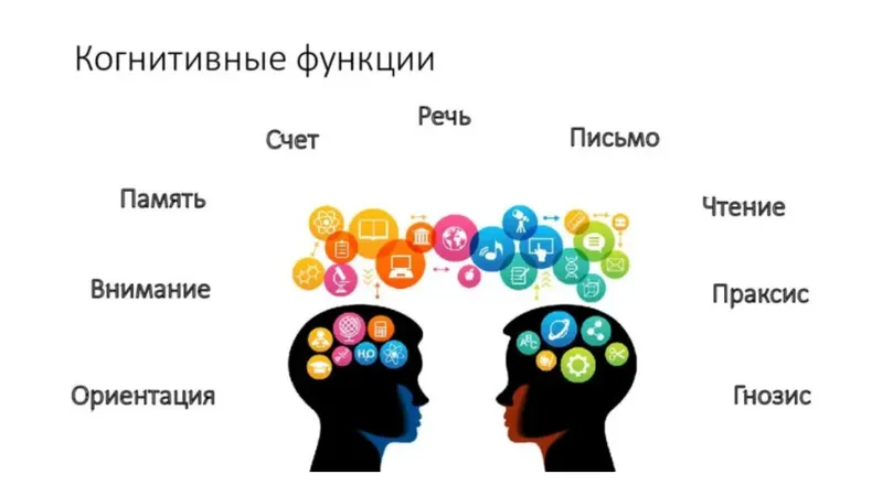 Скачать курс «Когнитивные функции и их нарушения (Татьяна Визель)» — слив курса
