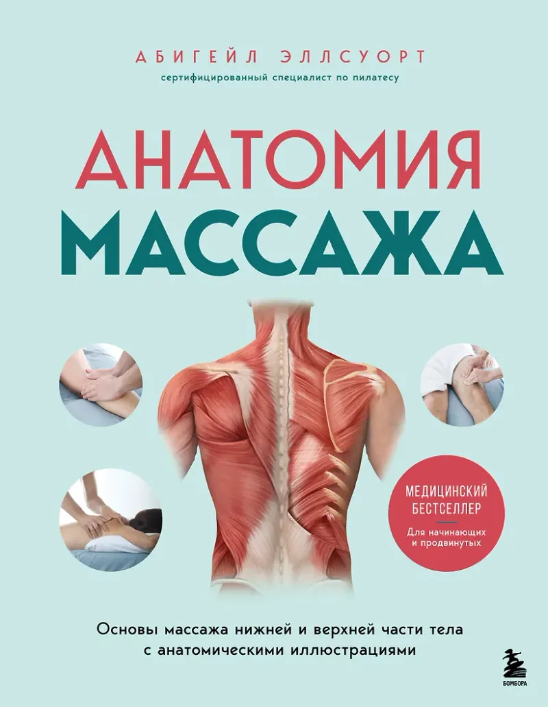 Скачать курс «Анатомия массажа. Основы массажа нижней и верхней части тела с анатомическими иллюстрациями (Абигейл Эллсуорт)» — слив курса