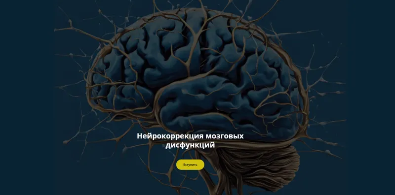 Обложка курса «Нейрокоррекция мозговых дисфункций. Октябрь 2024 (Салима Саиди)»