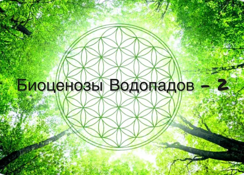 Скачать курс «Семинар «Целительство. Биоценозы водопадов — часть 2»  (SelenaS)» — слив курса