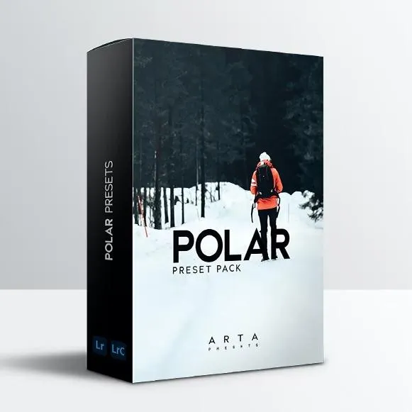 Скачать курс «Зимние пресеты Полярный пакет для Lightroom  Polar Pack For Mobile and Desktop Lightroom (artapresets)» — слив курса