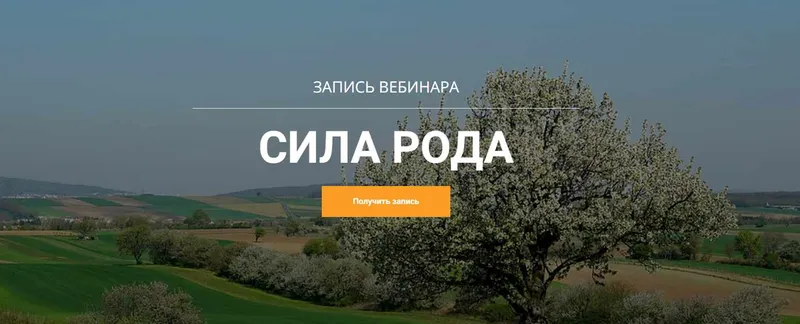 Скачать курс «Сила Рода (Максим Кислицин)» — слив курса