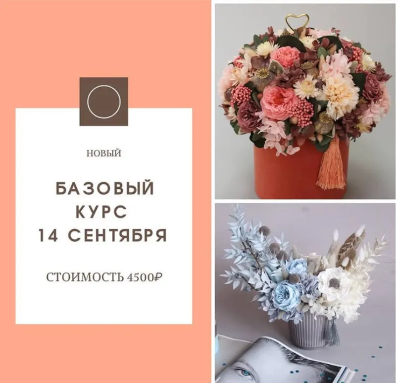 Скачать курс «Работа с сухоцветами и стабилизированными цветами. Новый базовый курс (Екатерина Терещенко)» — слив курса