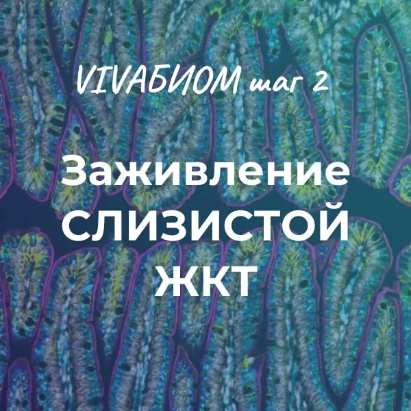 Скачать курс «Vivabiom шаг 2 Заживление слизистой ЖКТ (Анна Кортунова)» — слив курса