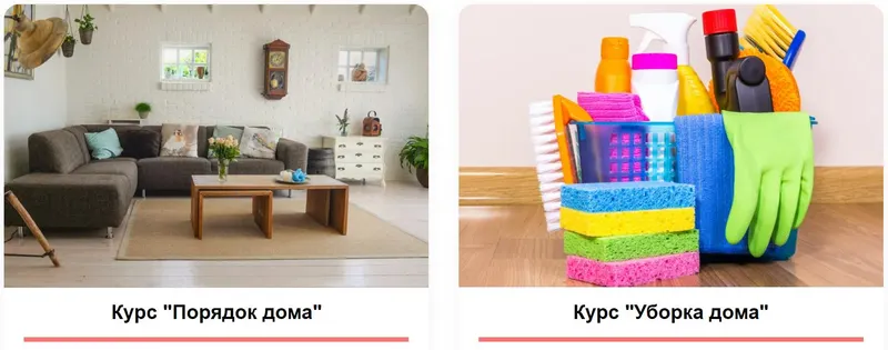 Скачать курс «Порядок Дома и Уборка Дома. Тариф Два курса вместе (Нина Ефименко)» — слив курса