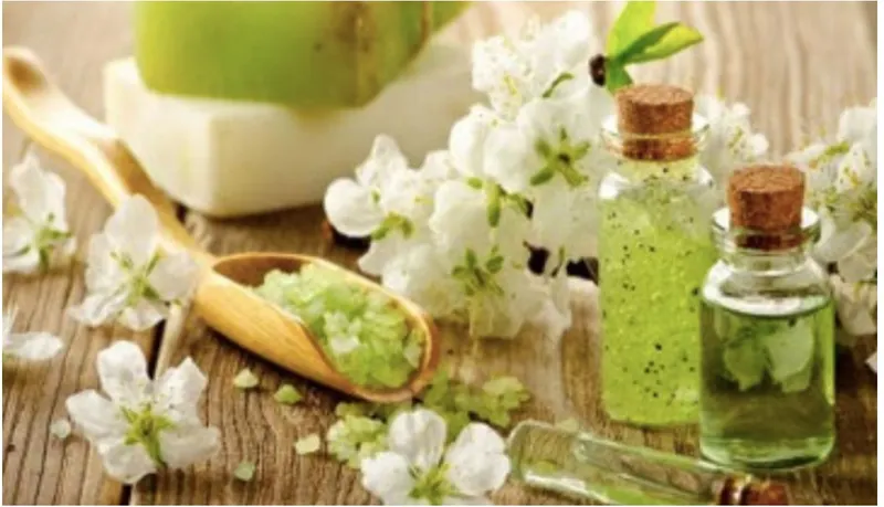 Скачать курс «Домашняя косметика для всех и каждого - 2 (natur.cosmetica)» — слив курса