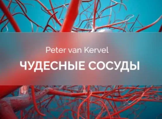 Скачать курс «[Краниосакральная академия] Чудесные сосуды (Питер Ван Кервель)» — слив курса