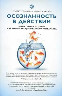 Скачать курс «Осознанность в действии. Эннеаграмма, коучинг и развитие эмоционального интеллекта (Марио Сикора)» — слив курса