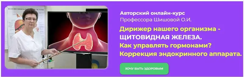 Скачать курс «Дирижер нашего организма - Щитовидная железа. Как управлять гормонами? (Ольга Шишова)» — слив курса