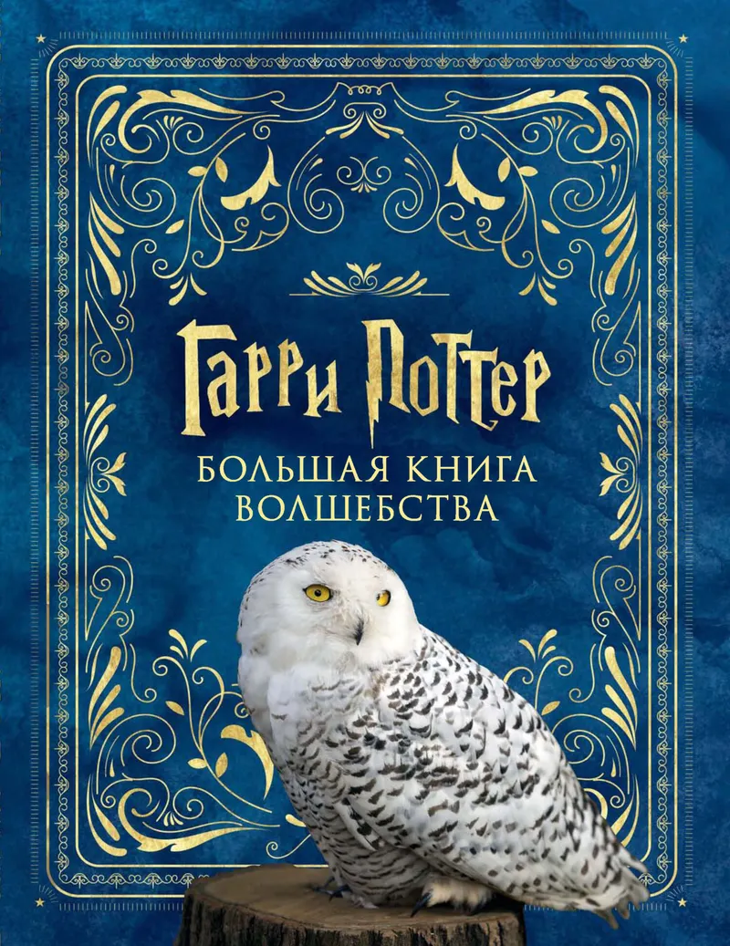 Скачать курс «Гарри Поттер. Большая книга волшебства (Елена Смотрова)» — слив курса