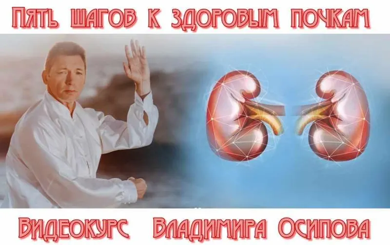 Скачать курс «Пять шагов к здоровым почкам (Владимир Осипов)» — слив курса