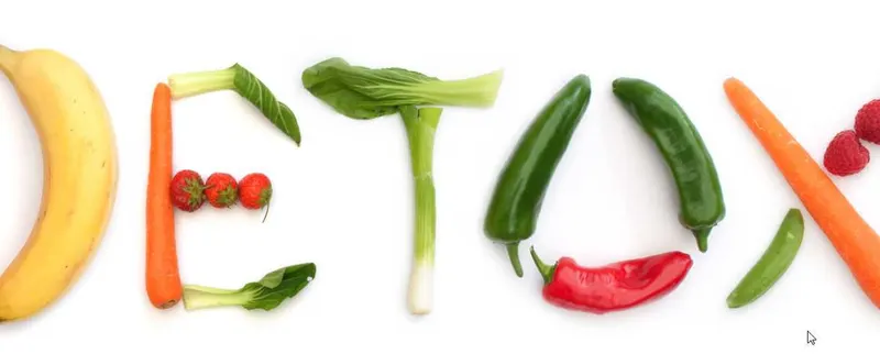 Скачать курс «Специальная detox-программа, 2019 (Елена Рыбальченко)» — слив курса