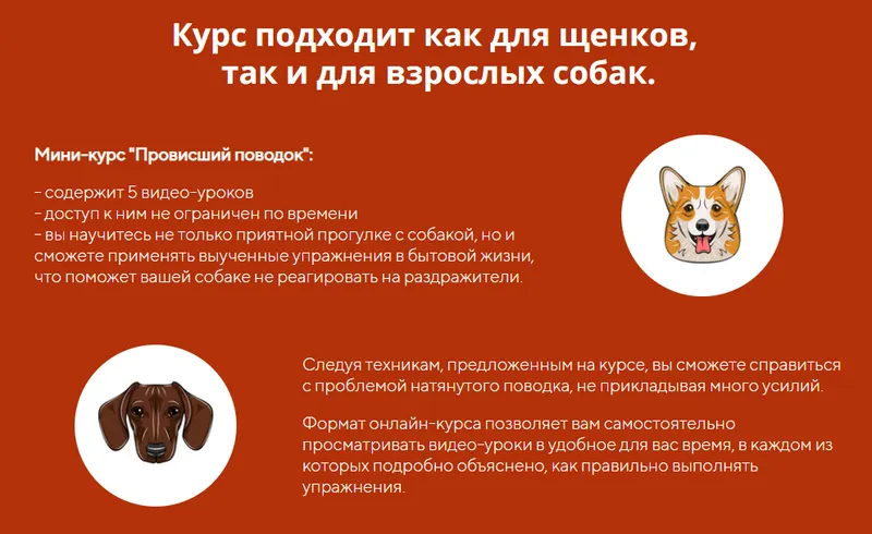 Скачать курс «[kinologschool] Провисший поводок (Антонина Зимарева)» — слив курса