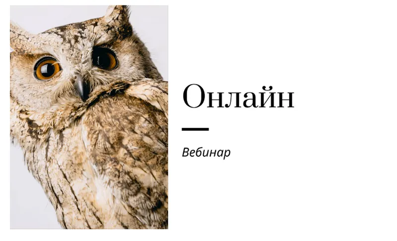 Скачать курс «[Записки репетитора] Вебинар по работе онлайн  (Ирина Кузнецова)» — слив курса