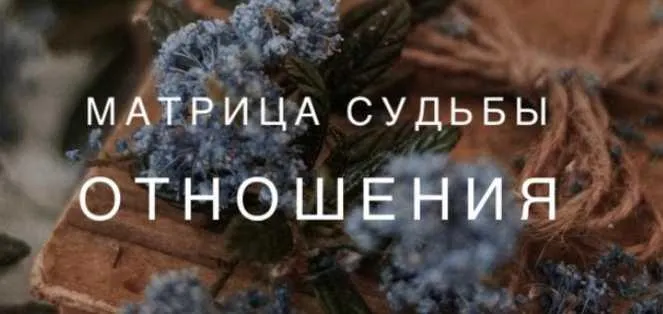 Скачать курс «Матрица Судьбы- отношения (Ксения Ликич)» — слив курса