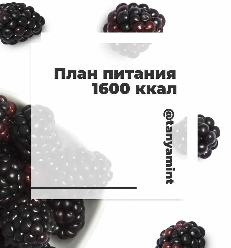 Скачать курс «Планы питания 1600 ккал (Таня Минт)» — слив курса