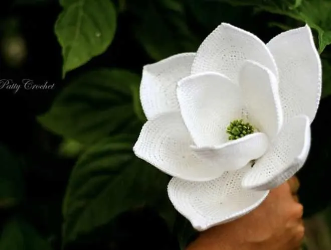 Обложка курса «Magnolia Grandiflora FlowerЦветок магнолии крупноцветковой (HappyPattyCrochet)»