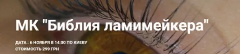 Скачать курс «[BrowIt] Библия ламимейкера (Анна Ромашенко)» — слив курса