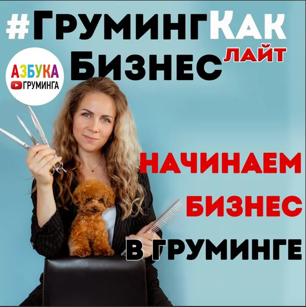 Скачать курс «[Азбука Груминга] Груминг как бизнес - ЛАЙТ (Дарья Казимова)» — слив курса