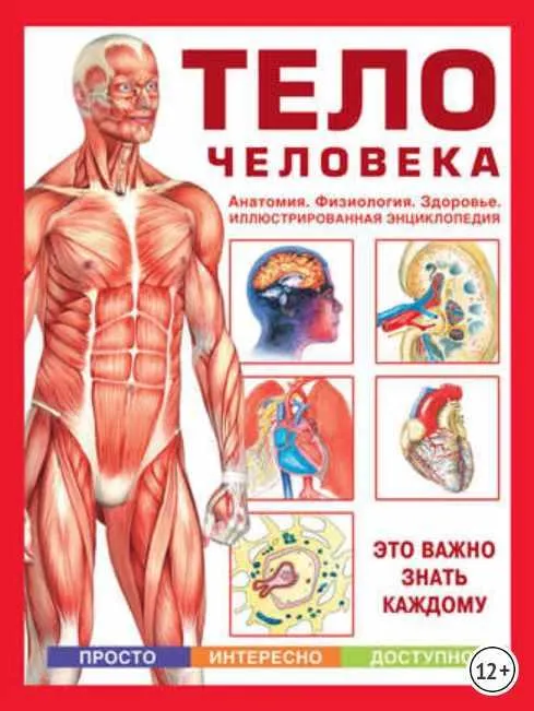 Скачать курс «Тело человека. Анатомия. Физиология. Здоровье [Астрель]» — слив курса