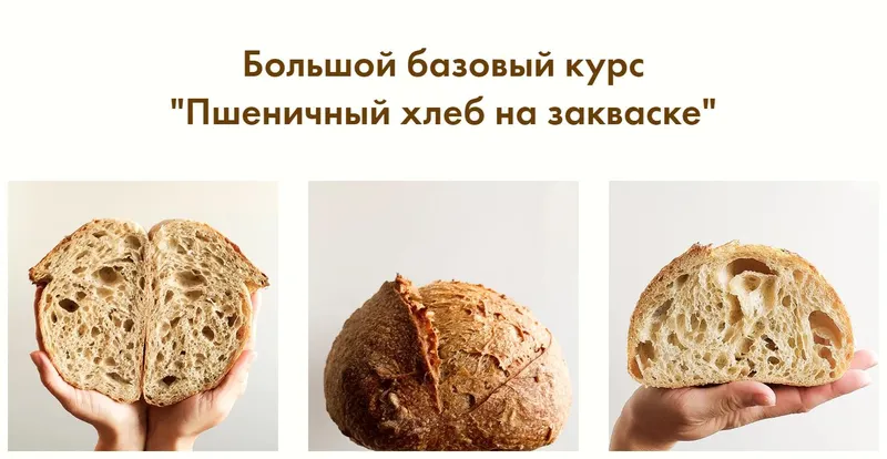 Скачать курс «[Пеку просто] Пшеничный хлеб на закваске (Екатерина Ольховская)» — слив курса